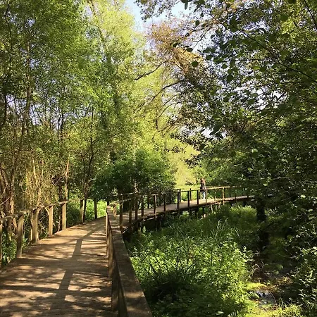 Ferienhaus Cinco Cerca De Santiago